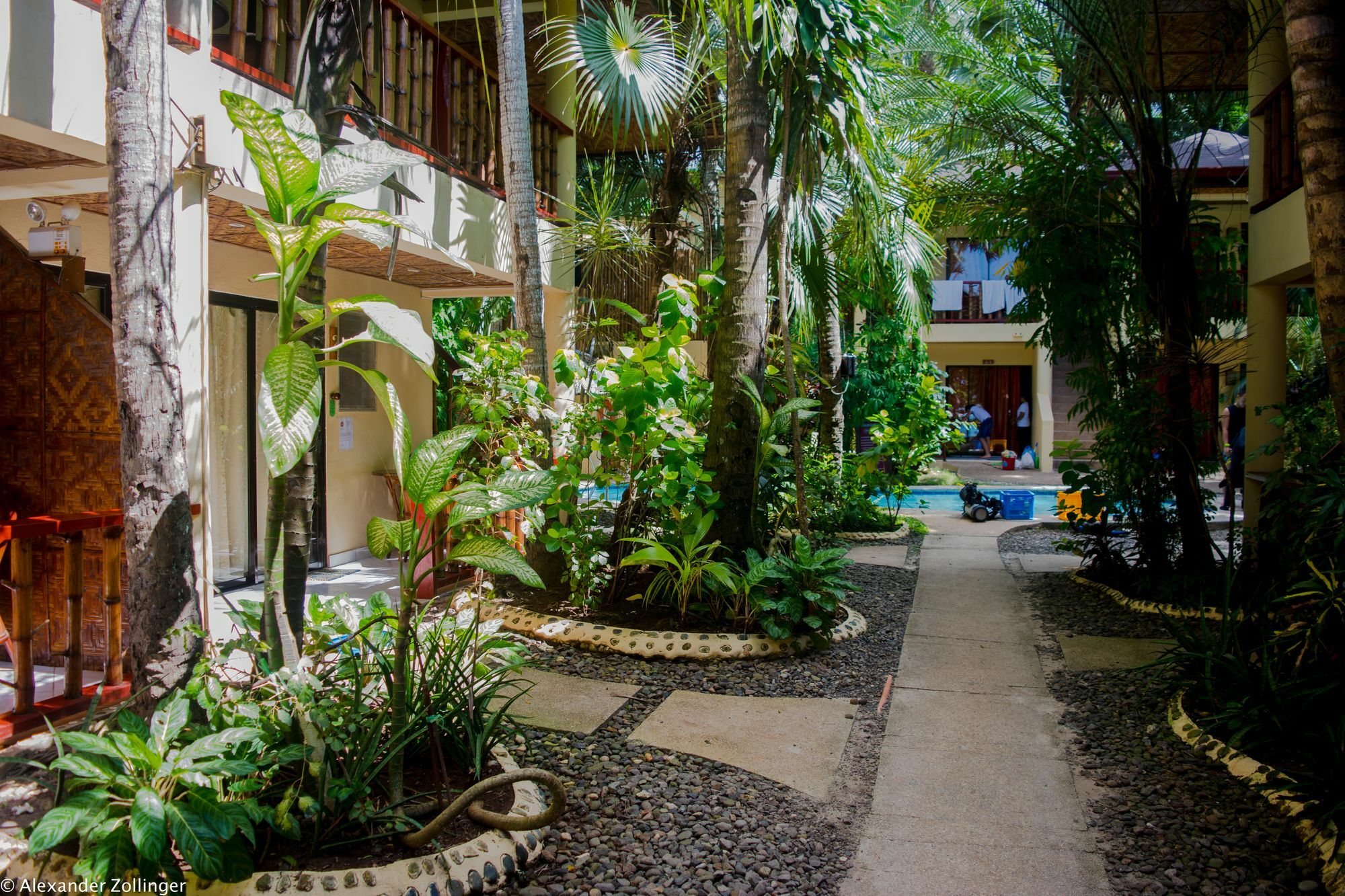 Alona Vida Beach Resort Panglao Bagian luar foto